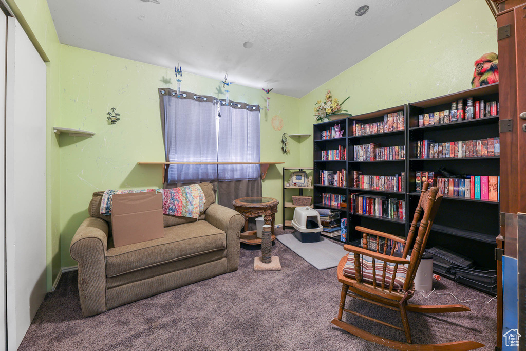 Living area featuring carpet floors