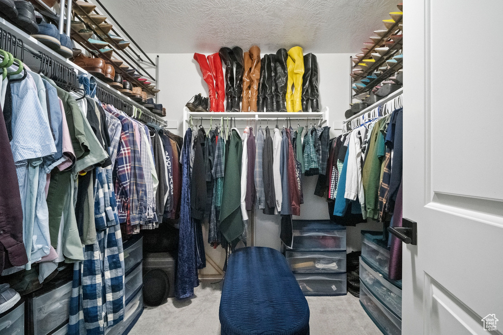 Spacious closet with carpet flooring