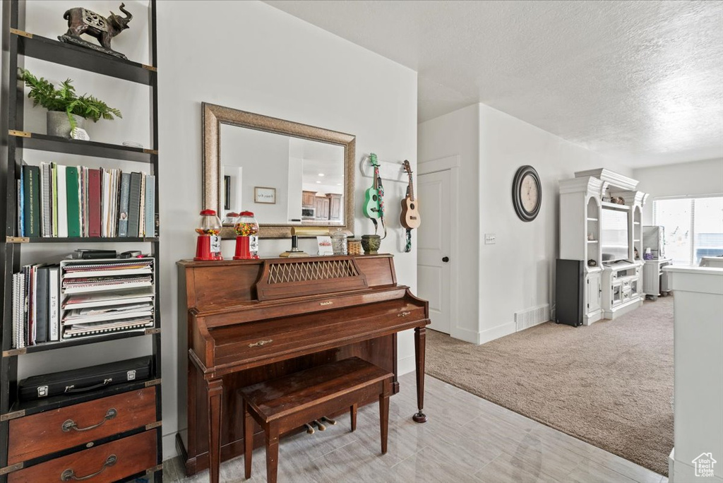 Sitting room with a textured ceiling, light carpet, and baseboards