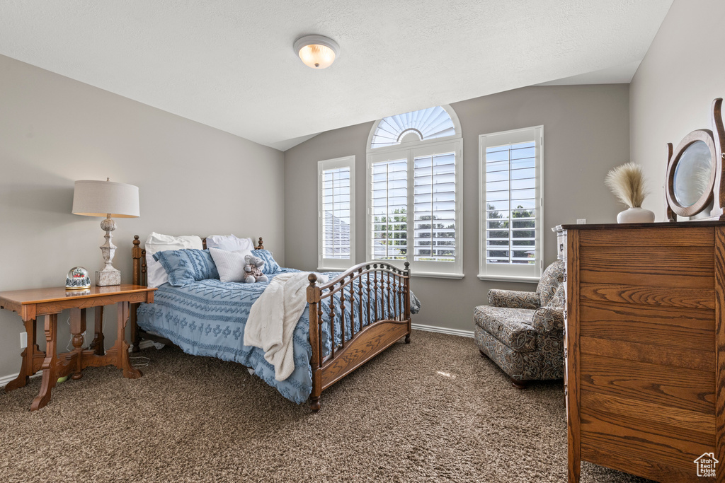 Carpeted bedroom featuring baseboards and lofted ceiling