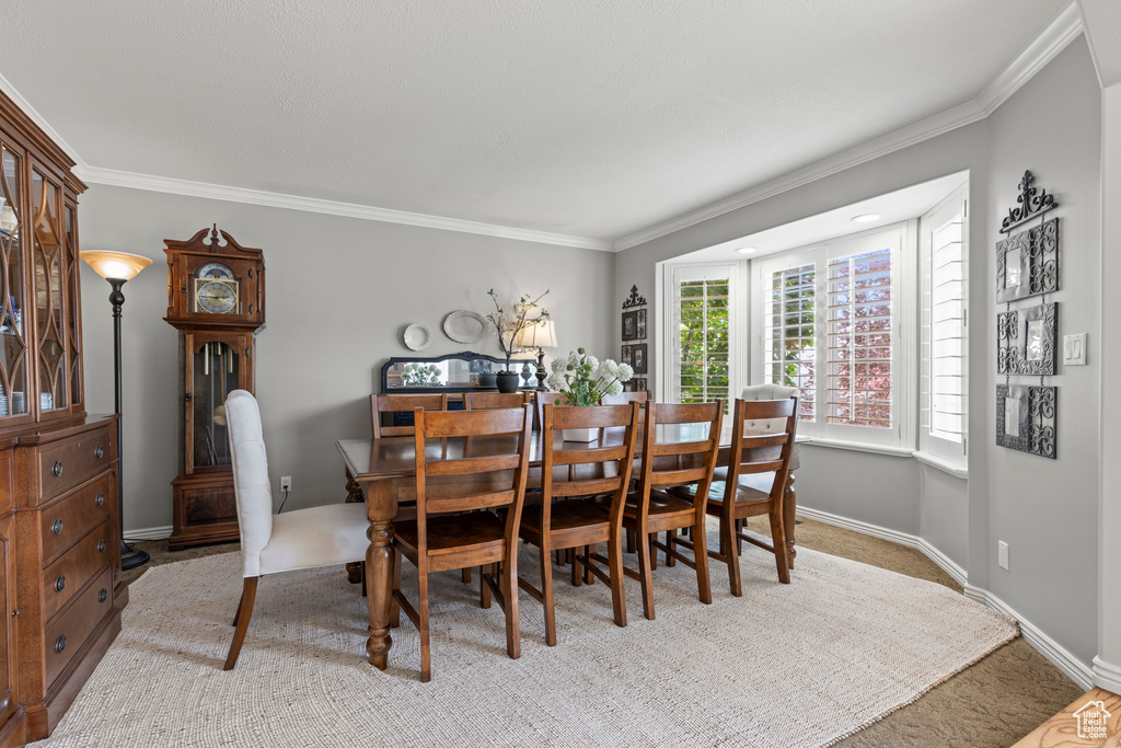 Dining room with crown molding, carpet, and baseboards
