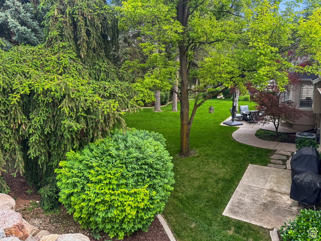 View of green lawn featuring a patio