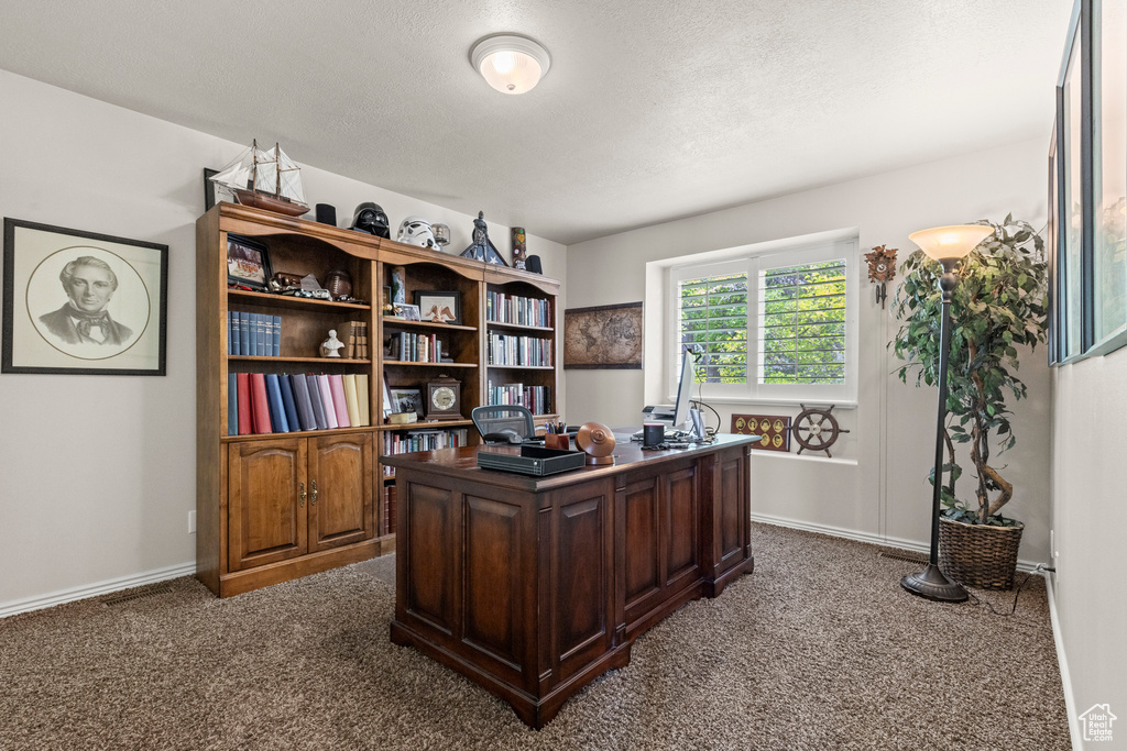 Office space featuring dark carpet and a textured ceiling