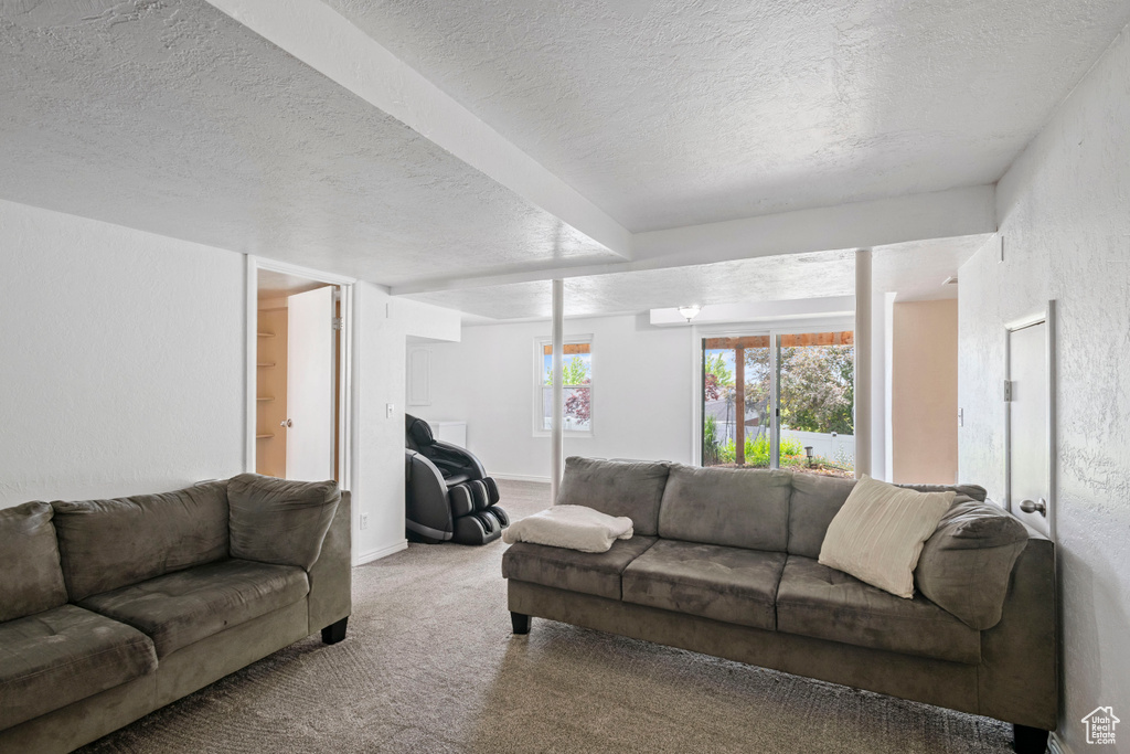 Living room with a textured ceiling and carpet floors