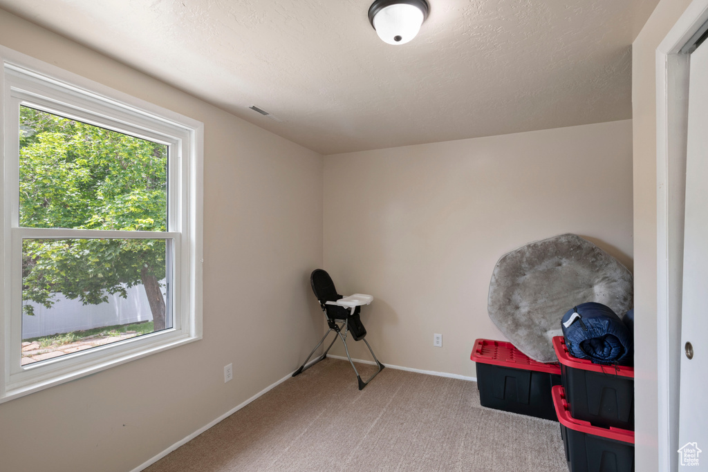 Miscellaneous room with carpet flooring, baseboards, and a textured ceiling