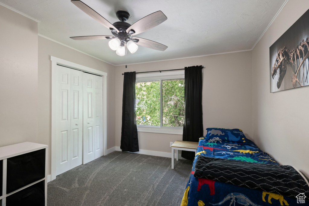 Bedroom featuring dark carpet, baseboards, crown molding, a closet, and a ceiling fan