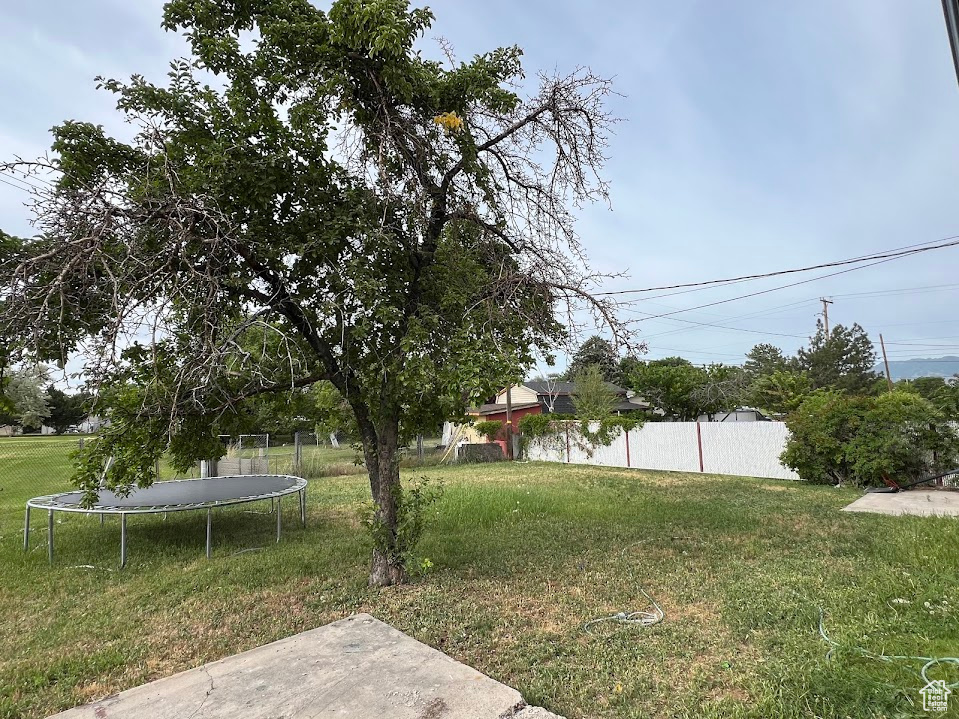 View of yard with a trampoline