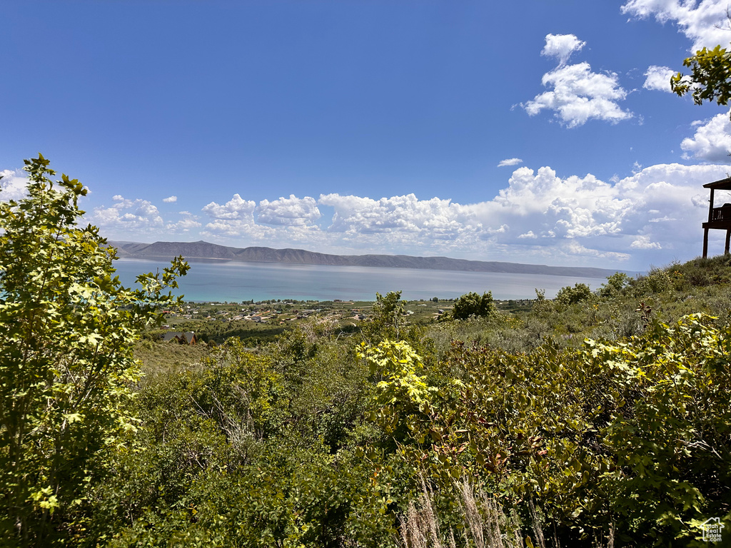 Water view featuring a mountainous background