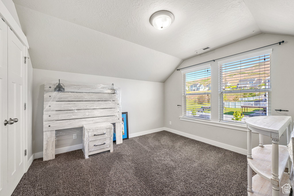 Unfurnished office with lofted ceiling, carpet flooring, baseboards, and a textured ceiling