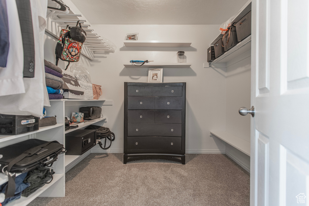 Walk in closet with carpet flooring