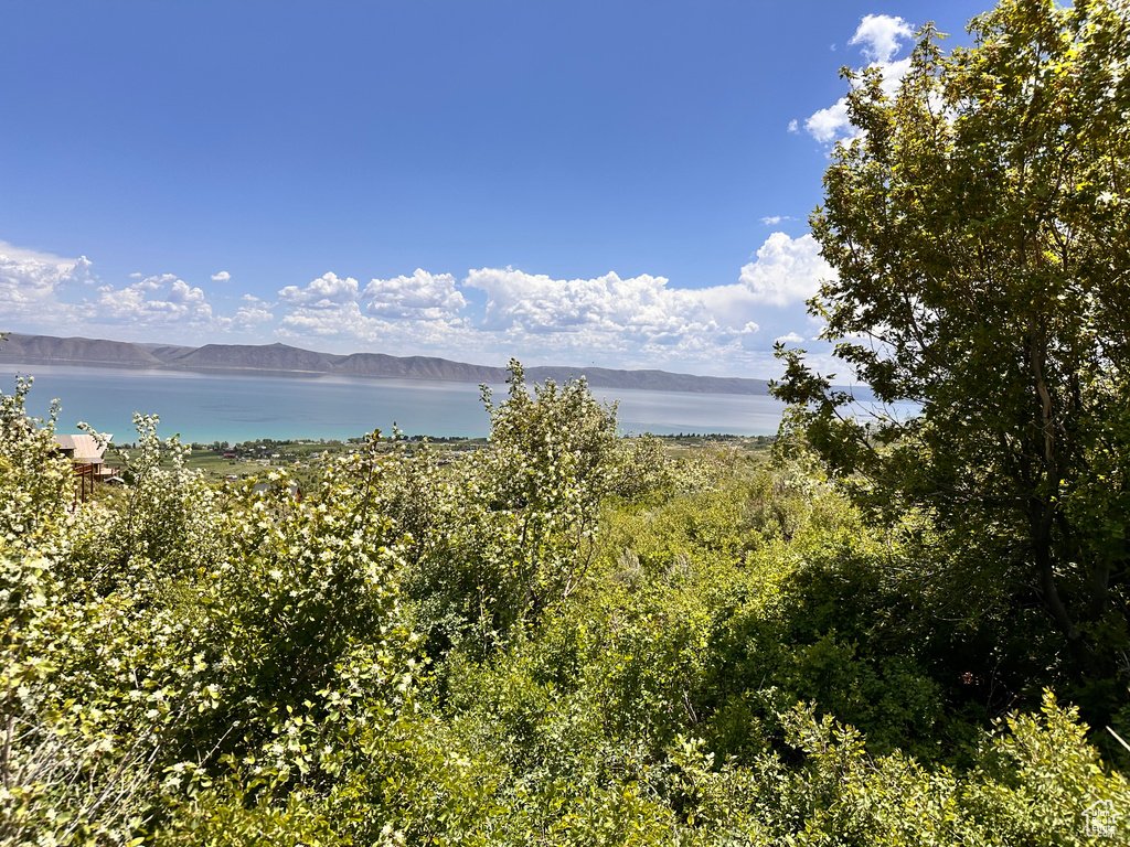 Water view