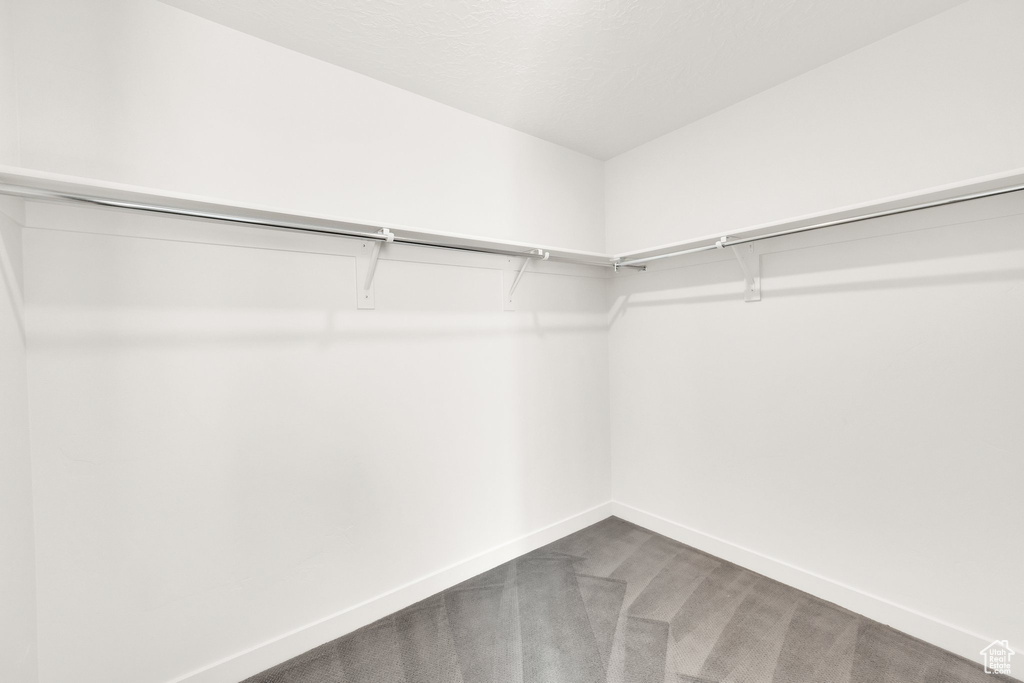 Walk in closet with carpet