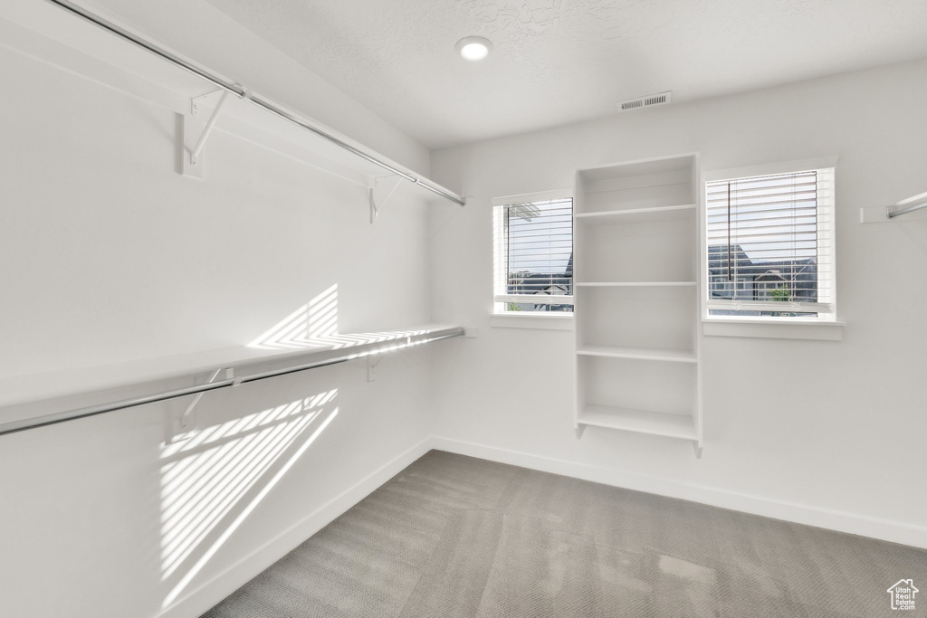 Spacious closet featuring carpet