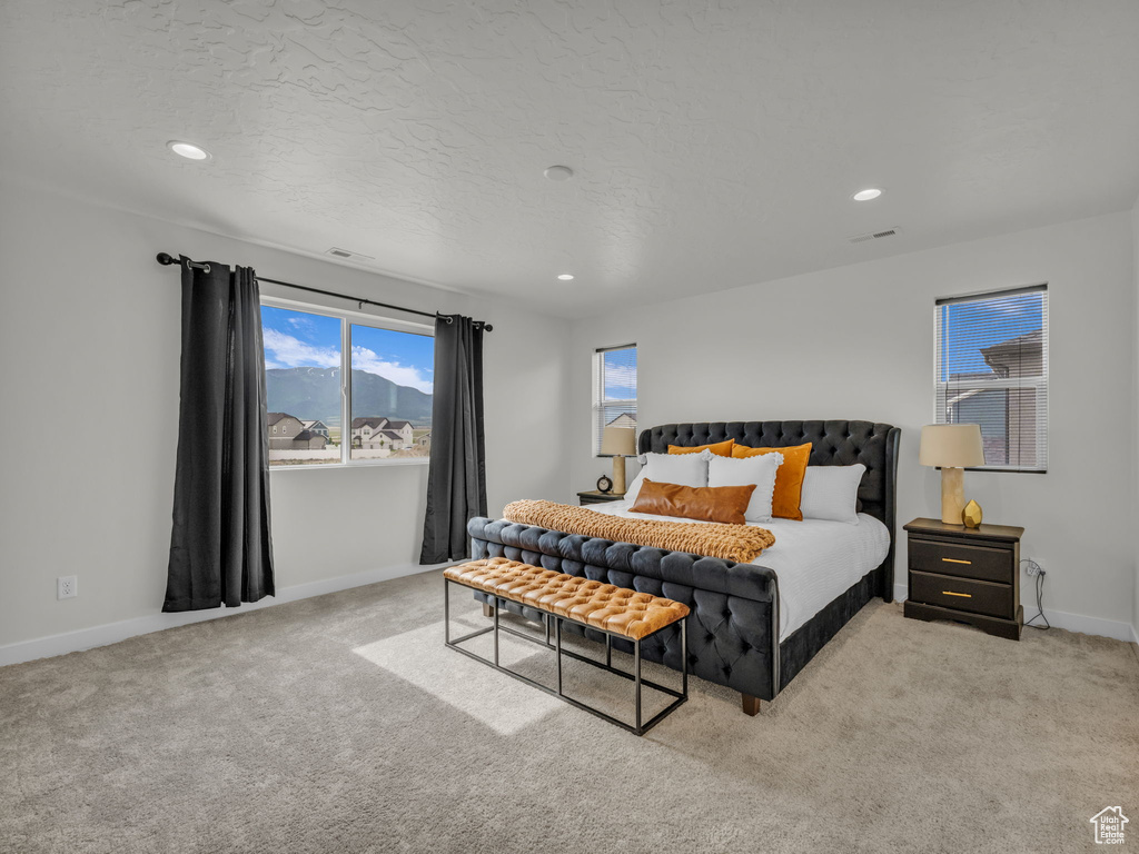 Bedroom featuring carpet flooring, recessed lighting, and baseboards