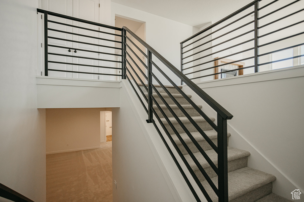 Stairs featuring a towering ceiling, carpet, and baseboards