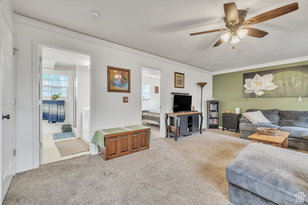 Living area with ceiling fan, carpet, ornamental molding, and baseboards