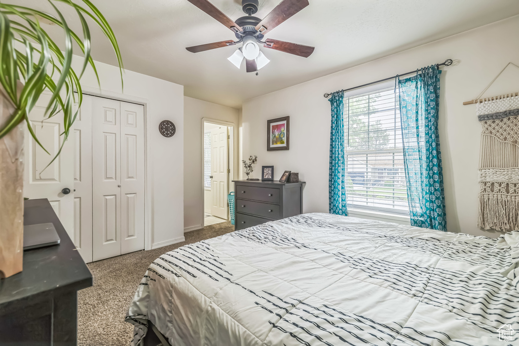 Carpeted bedroom featuring a closet, ceiling fan, and baseboards