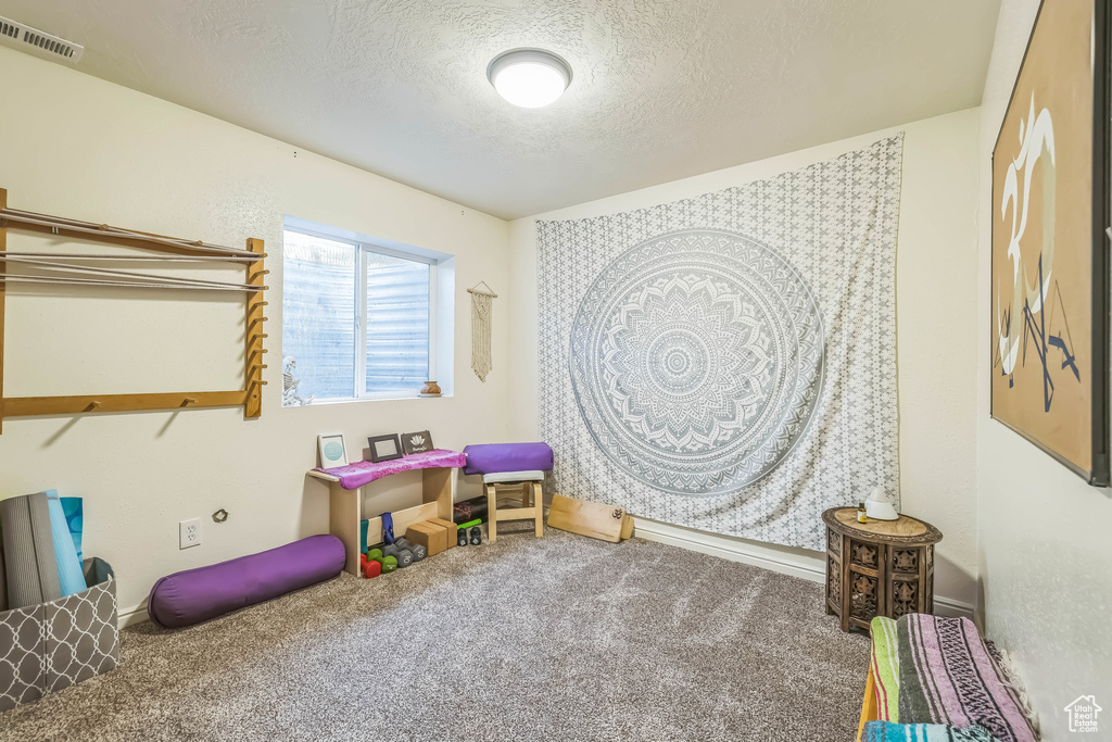 Rec room with a textured ceiling and carpet floors