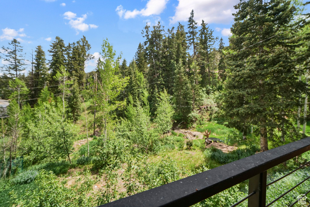 View of woods