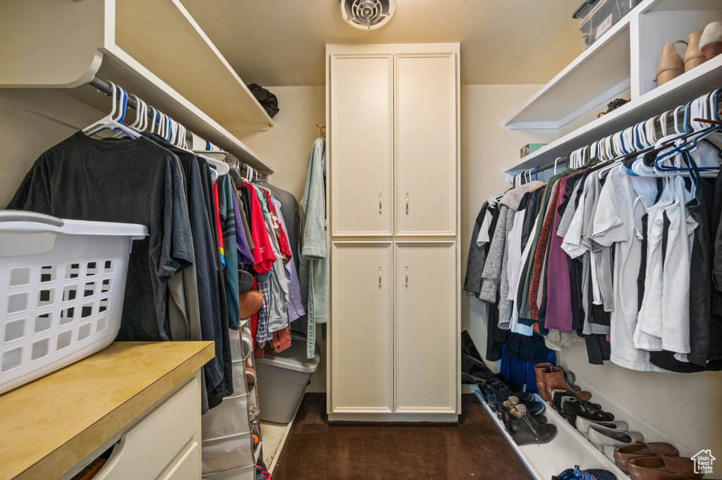Spacious closet featuring dark colored carpet