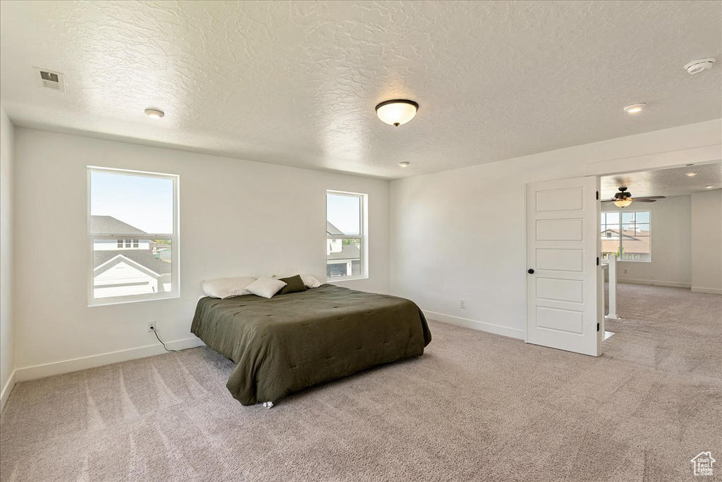 Bedroom with carpet floors, baseboards, multiple windows, and a textured ceiling