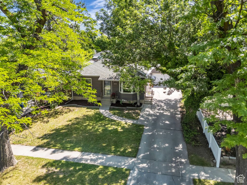 View of property hidden behind natural elements with a shingled roof, a front yard, and concrete driveway