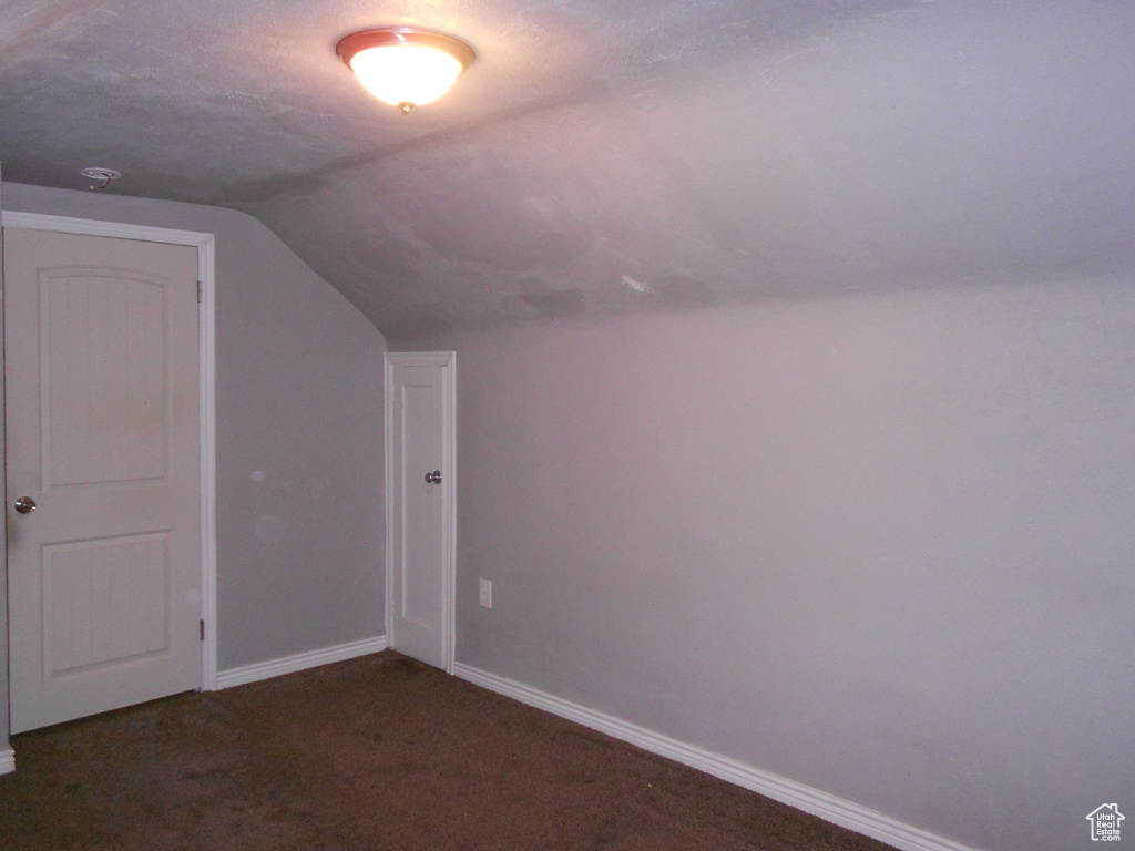 Additional living space with lofted ceiling, baseboards, and carpet flooring