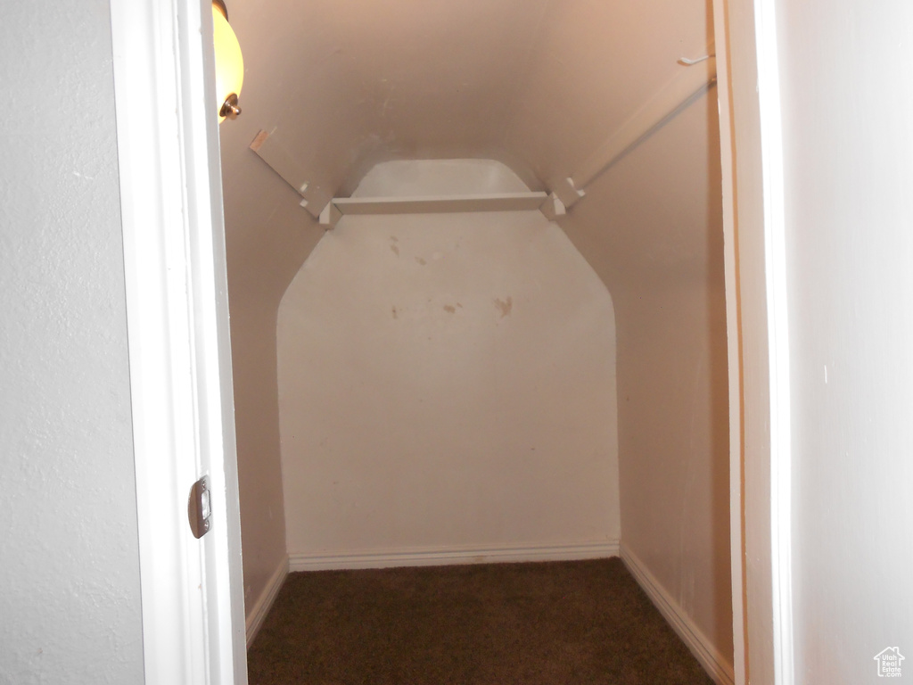 Spacious closet with carpet