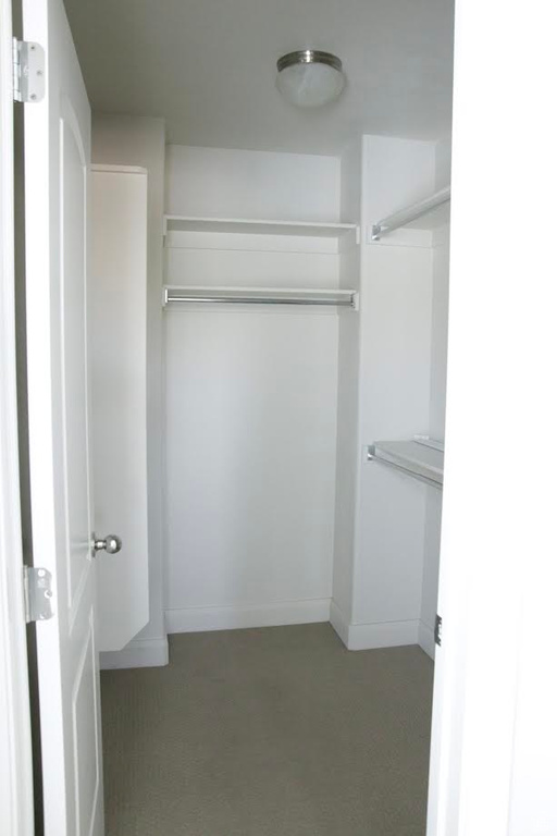 Walk in closet with carpet floors