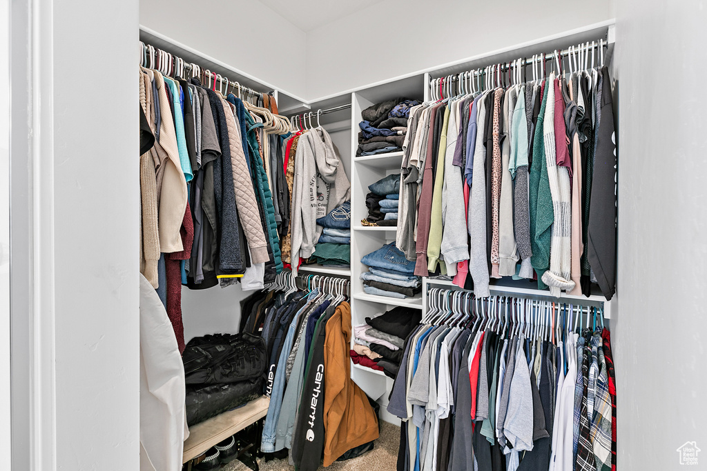 Walk in closet featuring carpet