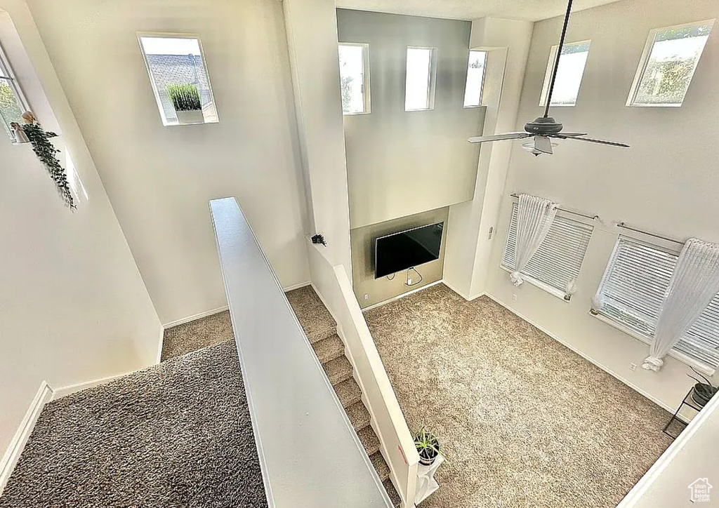 Unfurnished living room featuring ceiling fan, carpet floors, and baseboards