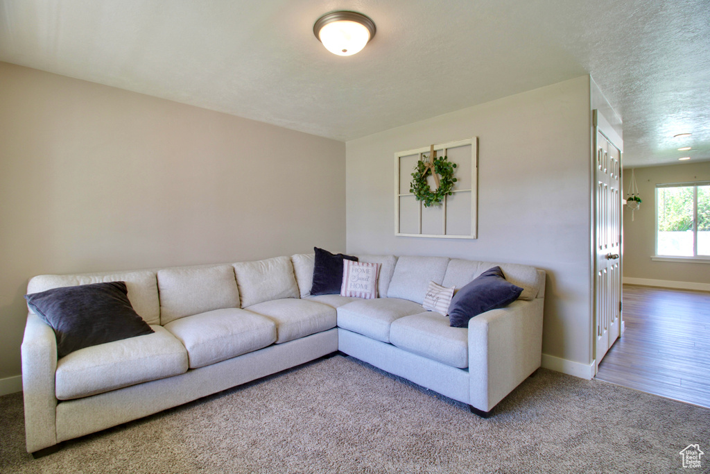 Carpeted living room featuring baseboards