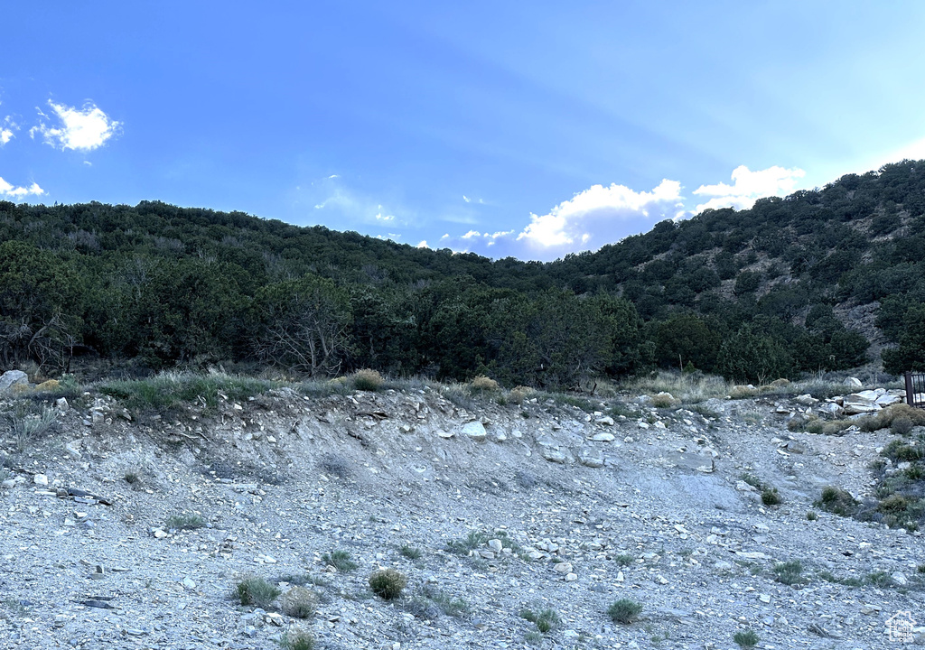 Mountain view with a heavily wooded area