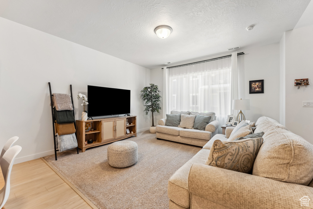 Living room featuring light wood-style flooring, baseboards, and a textured ceiling