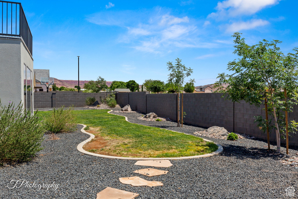 View of yard