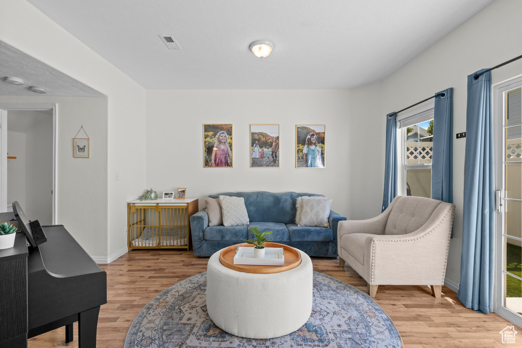 Living area featuring light wood finished floors, plenty of natural light, and baseboards