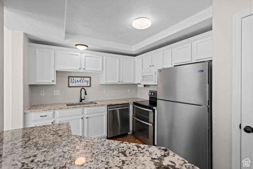 Kitchen with stainless steel appliances, a sink, white cabinetry, a tray ceiling, and light stone counters