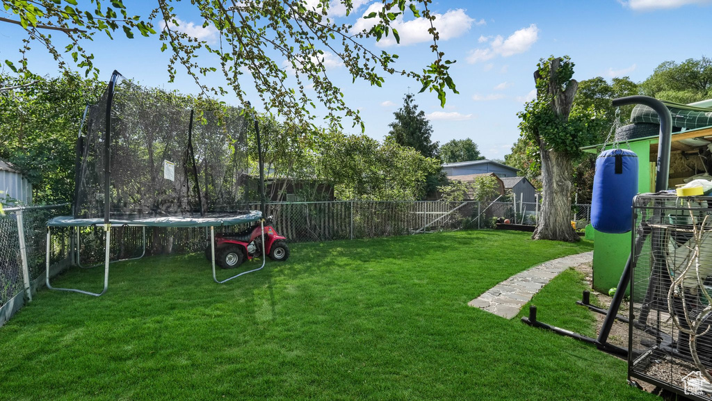 View of yard with a trampoline