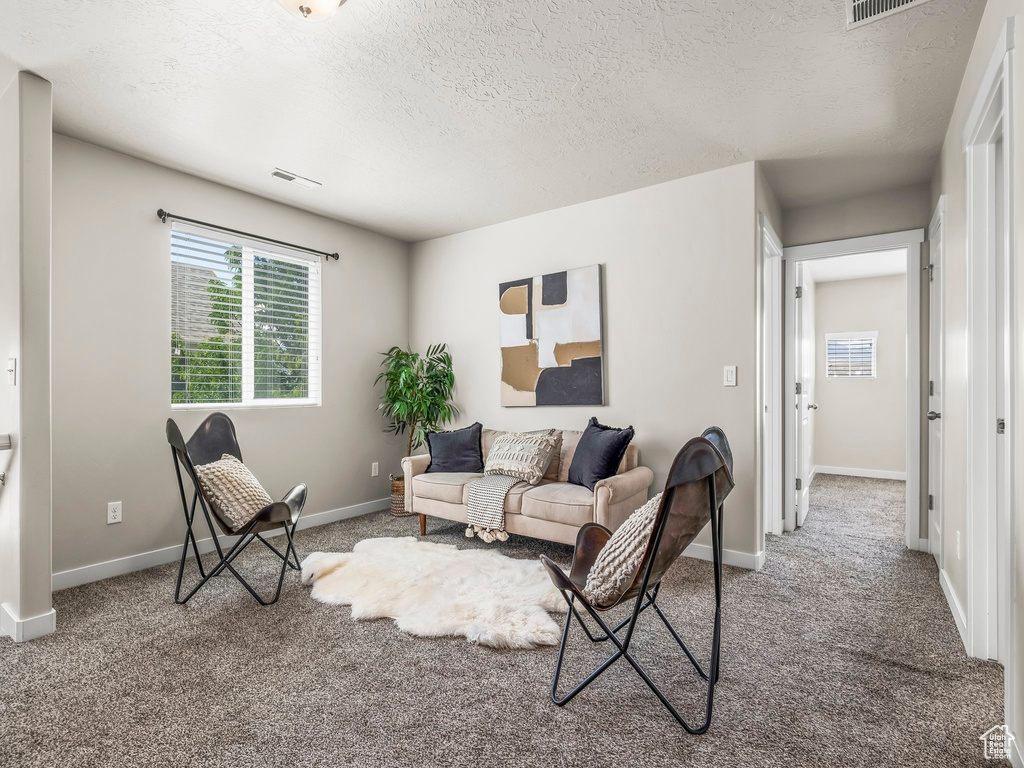 Carpeted living room with a textured ceiling and baseboards