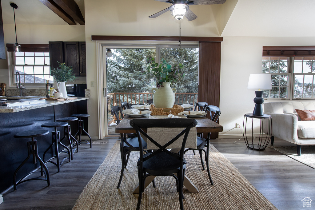 Dining room featuring ceiling fan, healthy amount of natural light, and dark wood-type flooring