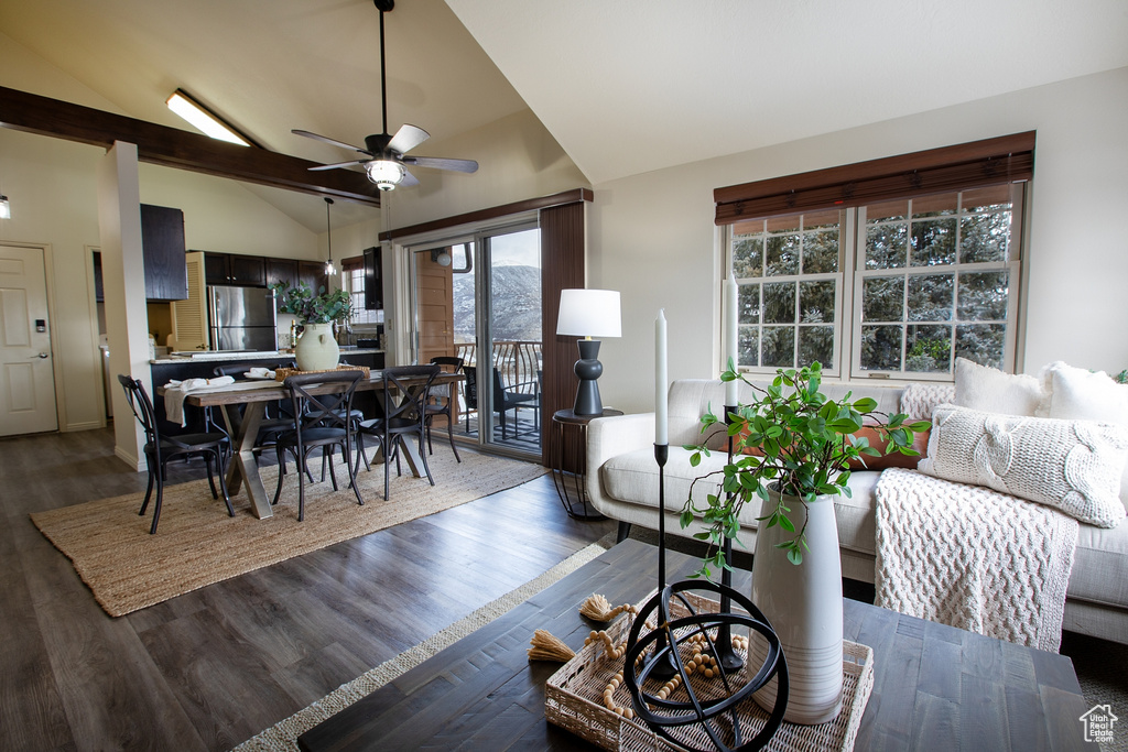 Dining room featuring a ceiling fan, wood finished floors, and high vaulted ceiling