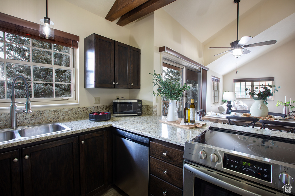 Kitchen featuring stainless steel appliances, a sink, a ceiling fan, dark brown cabinetry, and open floor plan