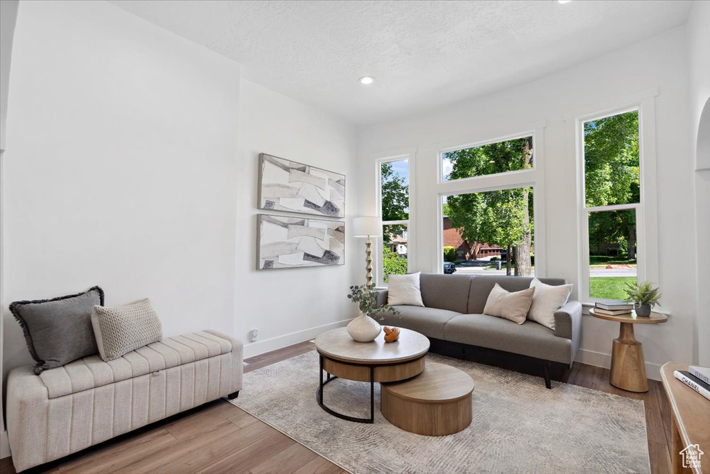 Living room with healthy amount of natural light, wood finished floors, baseboards, and recessed lighting