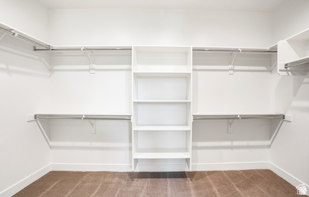 Spacious closet featuring carpet