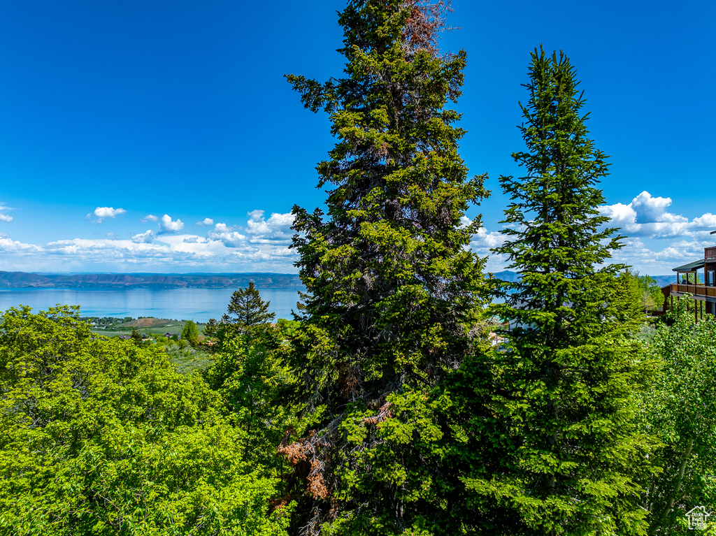 Water view featuring a heavily wooded area