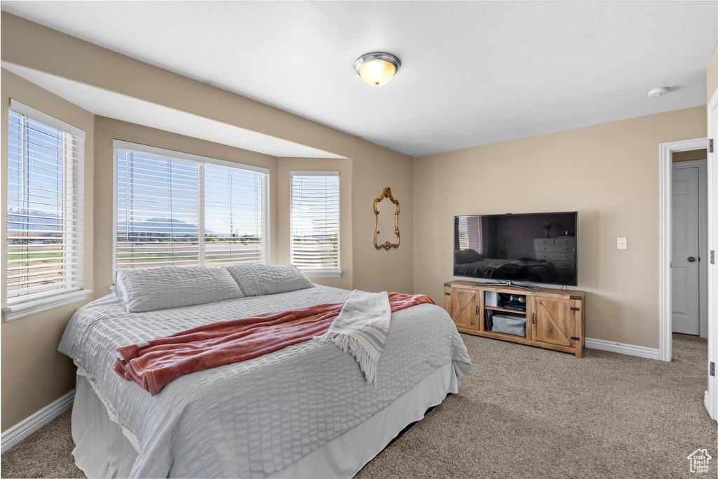 Bedroom with multiple windows, light colored carpet, and baseboards