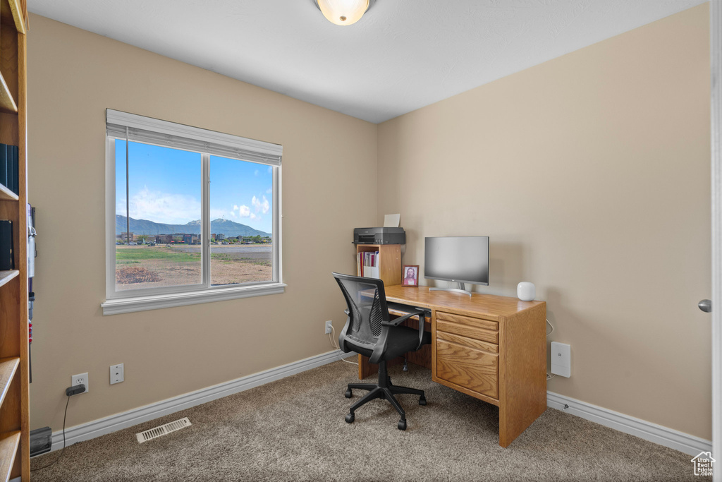 Office area with carpet floors and baseboards