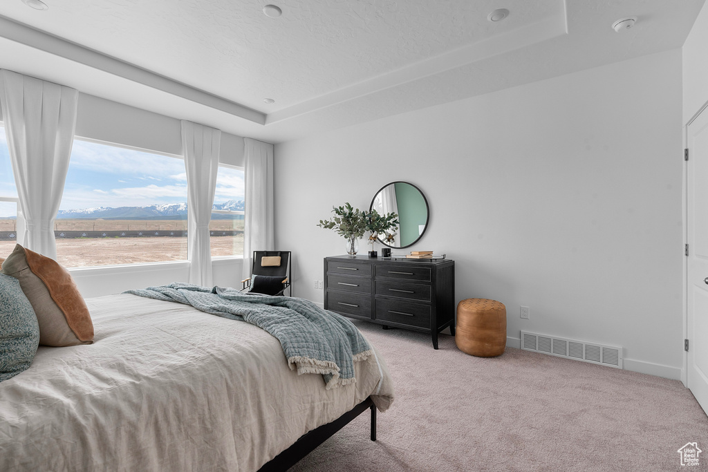 Bedroom featuring a raised ceiling, carpet floors, and baseboards