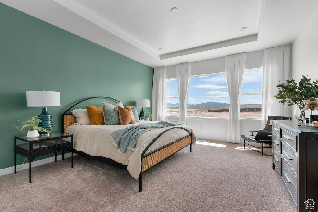Bedroom featuring light colored carpet, a raised ceiling, and baseboards