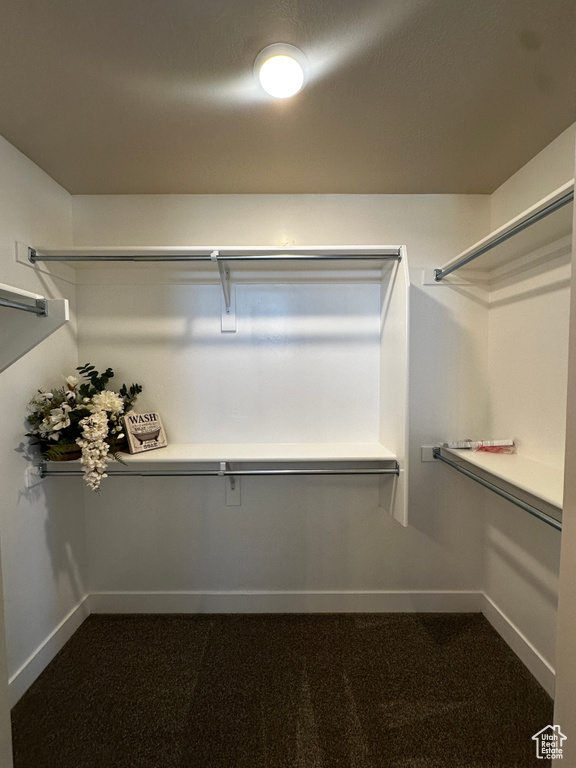 Walk in closet featuring dark colored carpet